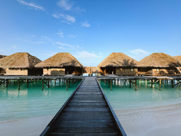 Hilton Team Member Travel Program – Complete Guide to Benefits, Use Cases, and Experiences